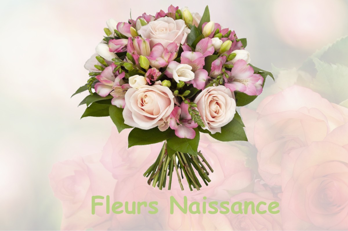 fleurs naissance MOISSIEU-SUR-DOLON