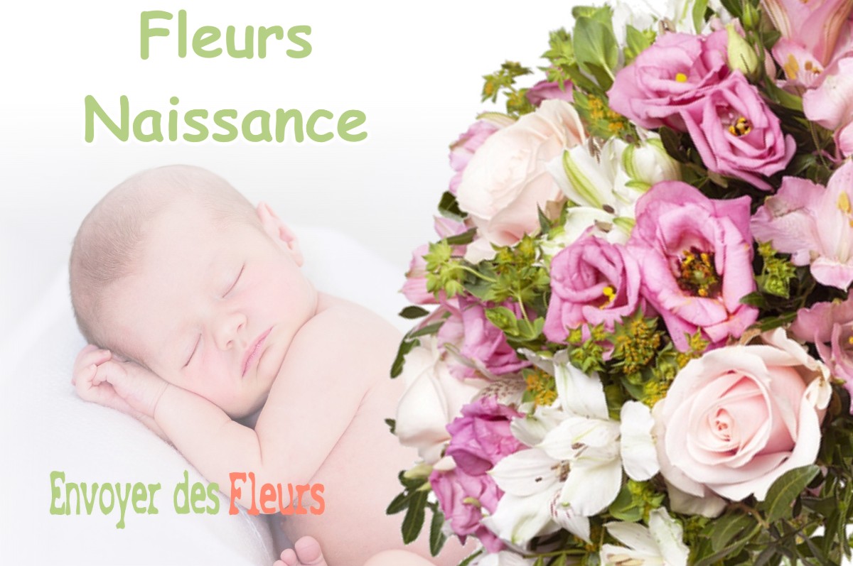 lIVRAISON FLEURS NAISSANCE à MOISSIEU-SUR-DOLON